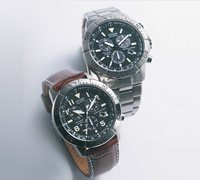 西铁城冠利钟表(中国)有限公司--招聘 求职,卓博