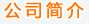 公司简介内容