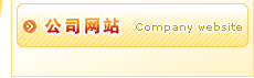公司网站