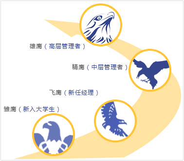 tcl 招聘_分类广告(3)