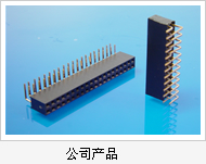 公司产品