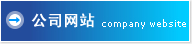 公司网站